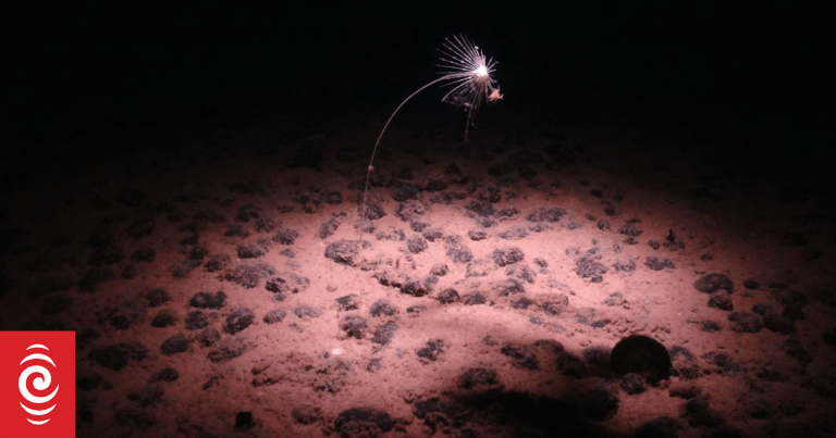 Pacific nations shaping future of seabed mining rules, International Seabed Authority chief says