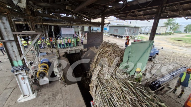 Minister warns farmers over illegal cane varieties – FBC News