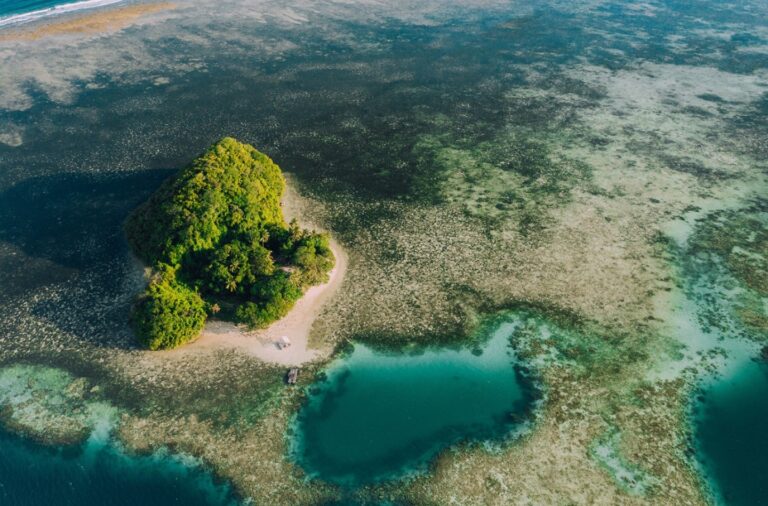 The Best Things to Do in Palau 2026