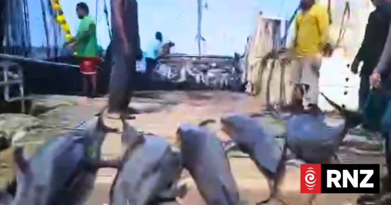 Outrage in PNG over Filipino purse seiner catching dolphins
