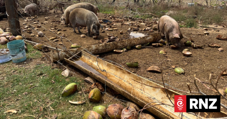 Super Typhoon Sinlaku wipes out up to 60 percent of Saipan livestock