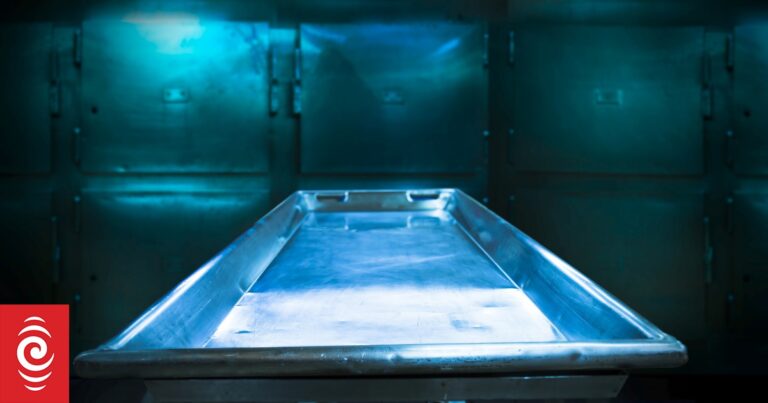 Fiji to install 10 eco-mortuaries after claims baby’s body was stored in ice-filled esky
