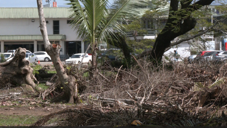 Council targets illegal activities at Labasa park – FBC News