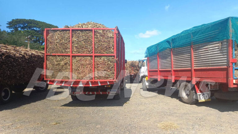 $5m fuel support announced for cane sector – FBC News