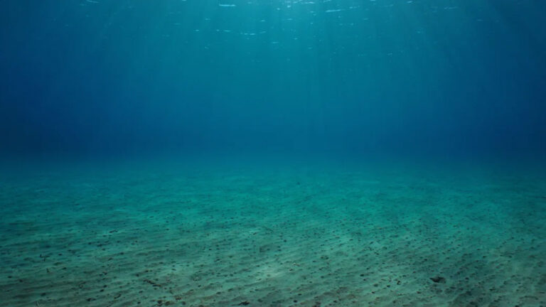 Calls grow to close legal gaps on deep-sea mining – FBC News
