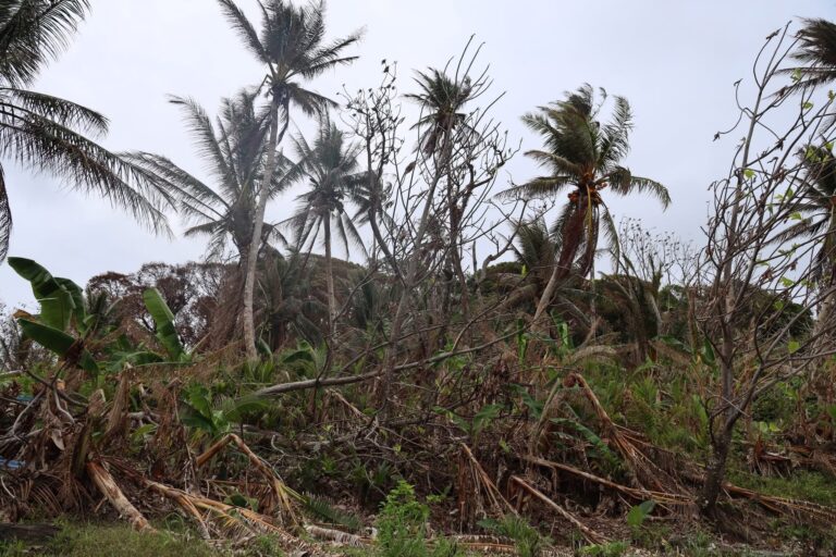 ‘When it comes to these threats, we have to be ready to rock and roll:’ Marianas, Micronesia can expect up to seven more storms in 2026