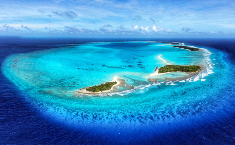 Seabirds drive rapid coral reef recovery after invasive rats are removed from islands