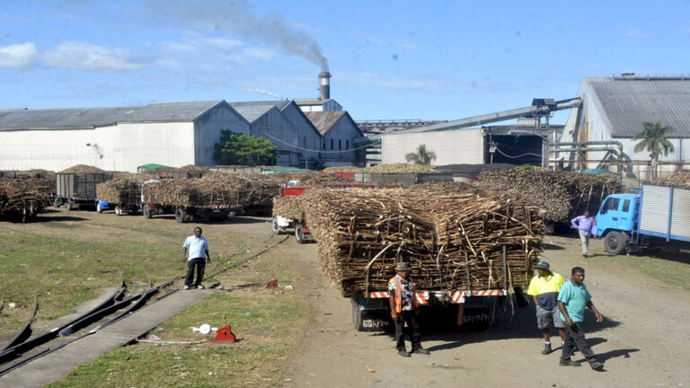 Sugar crushing season delayed – FBC News
