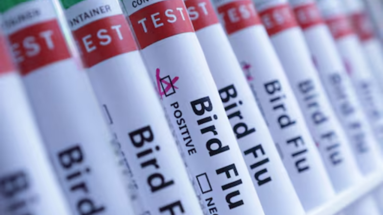 Australia, last continent without H5 bird flu – FBC News