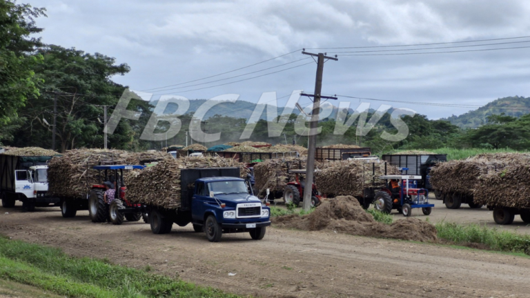 Sugar farmers demand help to survive – FBC News