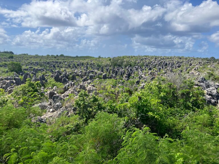 Nauru’s remarkable recent economic success