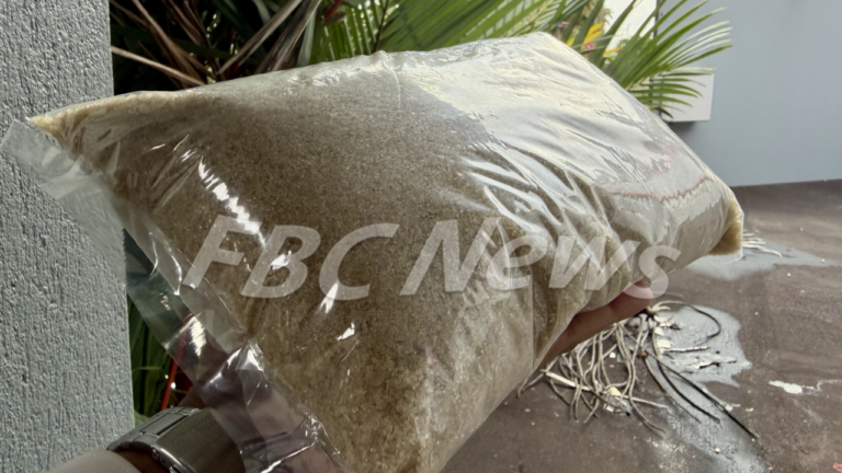 Ministry lacks supermarket sugar tracking system – FBC News