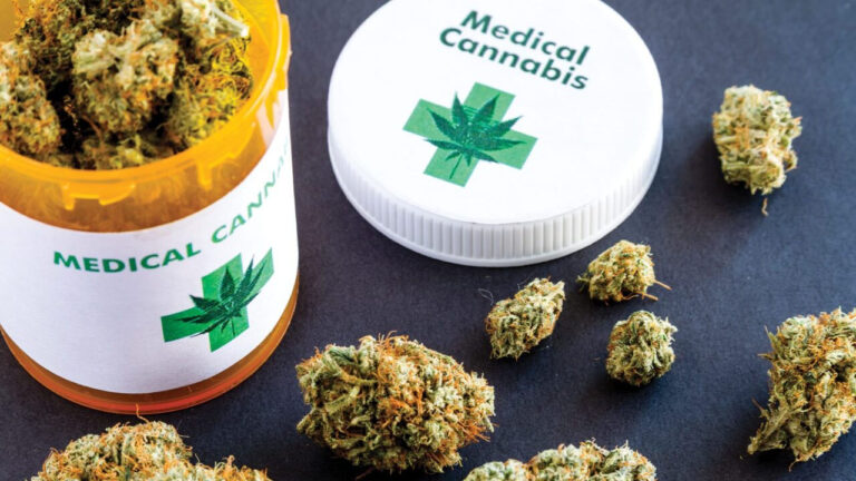 Medicinal cannabis push begins – FBC News