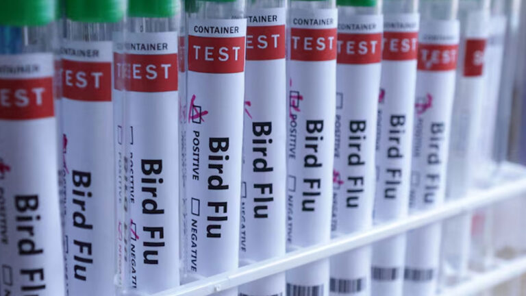 New Zealand confirms first H5N1 bird flu case in native bird – FBC News