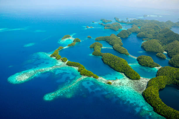 Palau’s Digital Finance Future: Small Island, Global Connections