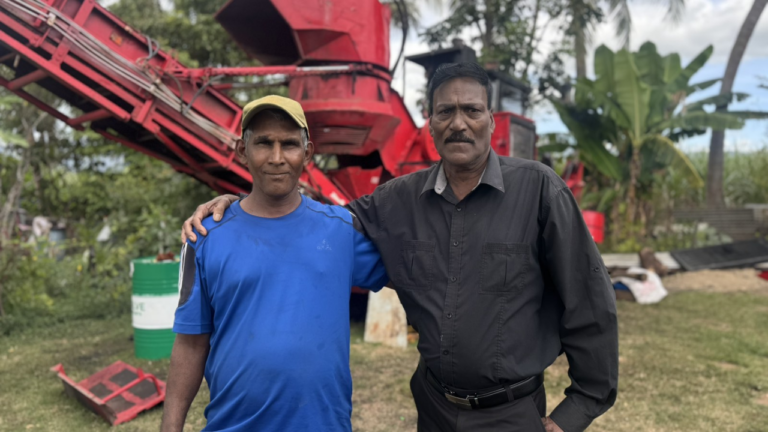 Lautoka farmers to harvest next week – FBC News