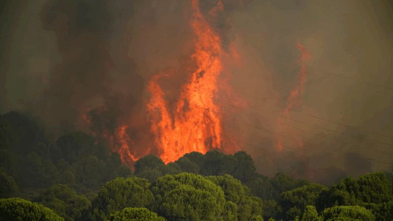 Wildfires threaten Bordeaux as France and Spain battle blazes – FBC News