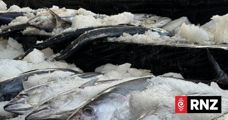 Regional fisheries agency says US-Pacific Tuna Treaty vital, as it delivers US$50 million boost