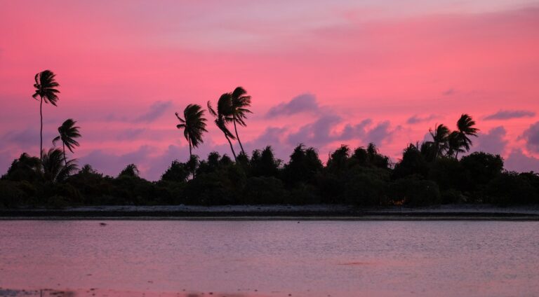 Where the palms bend, communities endure – resilience in the Pacific