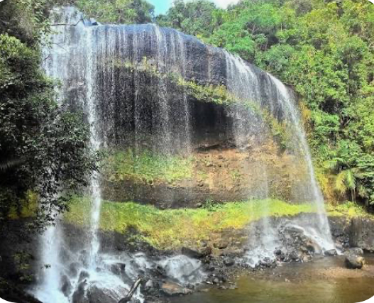 Chief’s Blockade of Ngardmau Waterfall Reignites Land Dispute With State