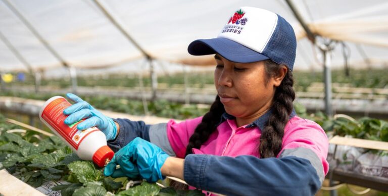 The welfare support system for PALM workers