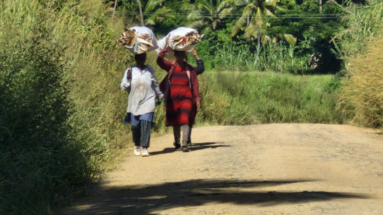 North’s farm road demand outpaces funding – FBC News