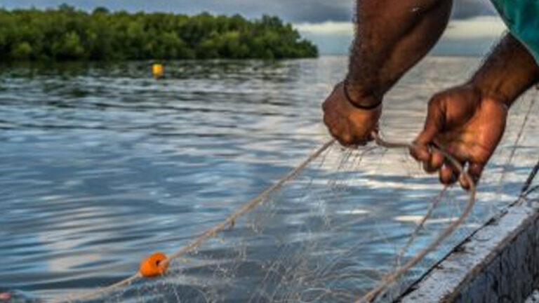 Qoliqoli owners push for more control – FBC News