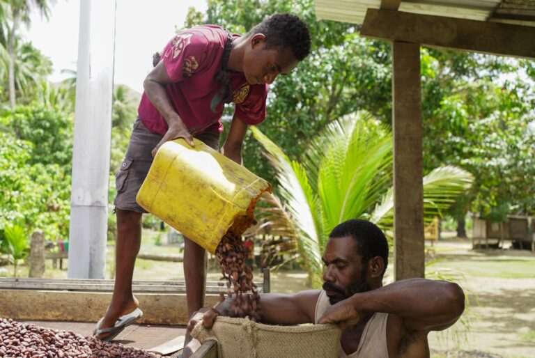 PNG’s declining agricultural output requires a return to commercial production