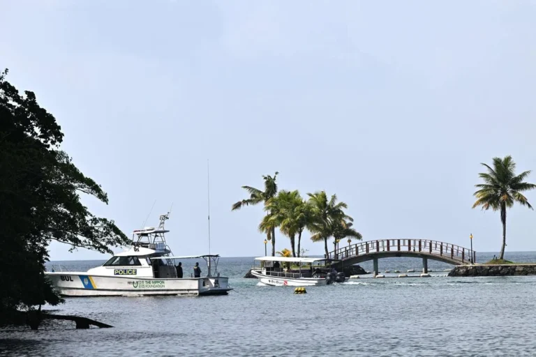 Singaporean missing after diving incident in Palau, search ongoing