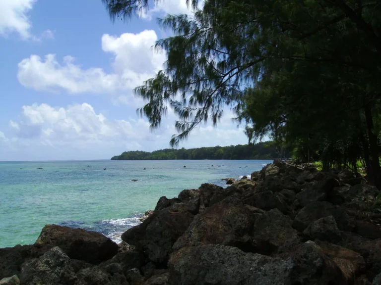 Two divers went missing in Palau