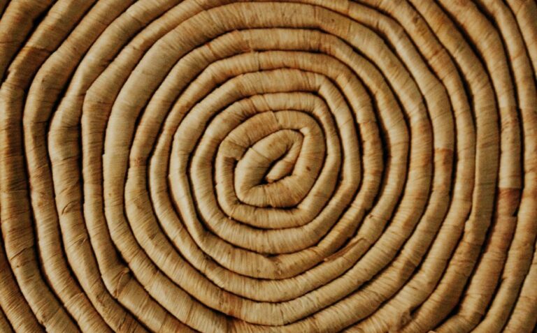 Concentric constitutionalism: environmental law in PNG
